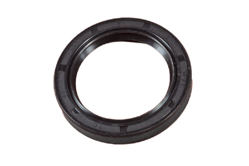 ANELLO TENUTA 40X55X7