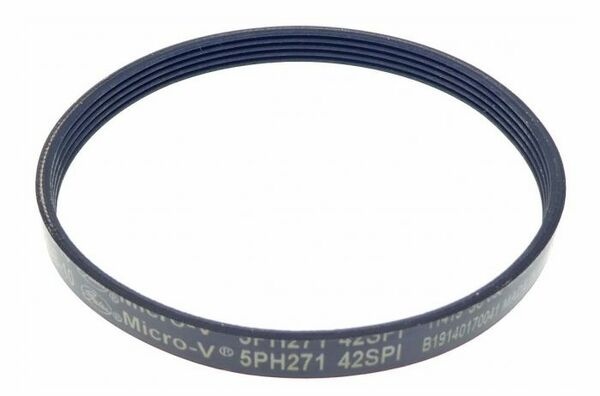 CINGHIA LG - 271H5